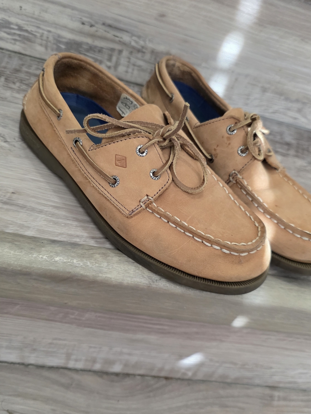 Boys Sperrys  Shoes